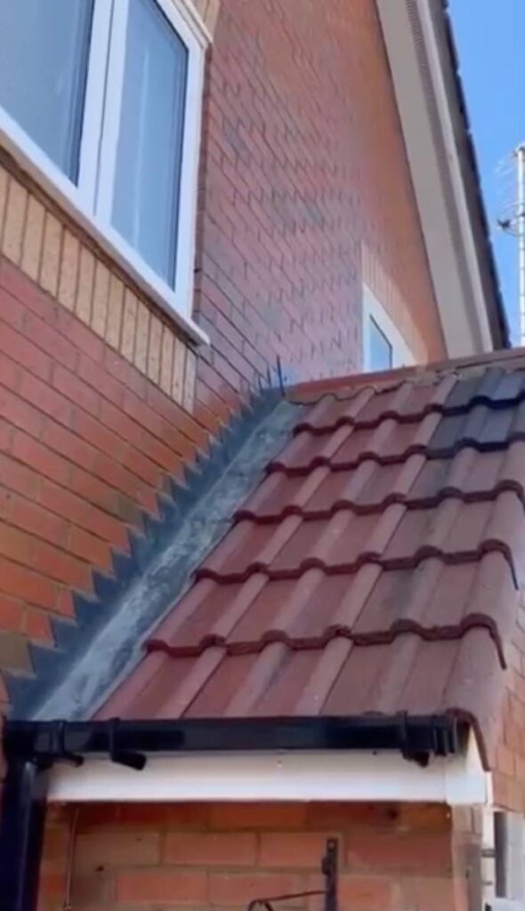 Roof Cleaning after