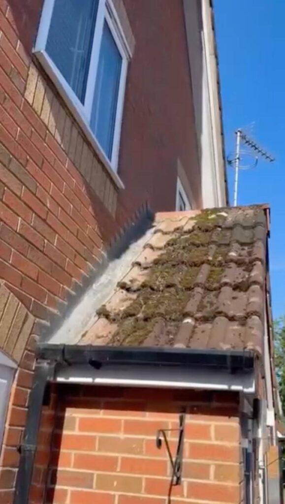 Roof Cleaning before